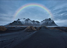 大发官网：官方背书下的信任与极致体验