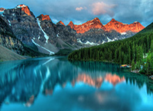 大发官网：官方背书下的信任与极致体验